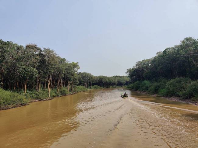 Río tropical del sudeste asiático durante una expedición de muestreo