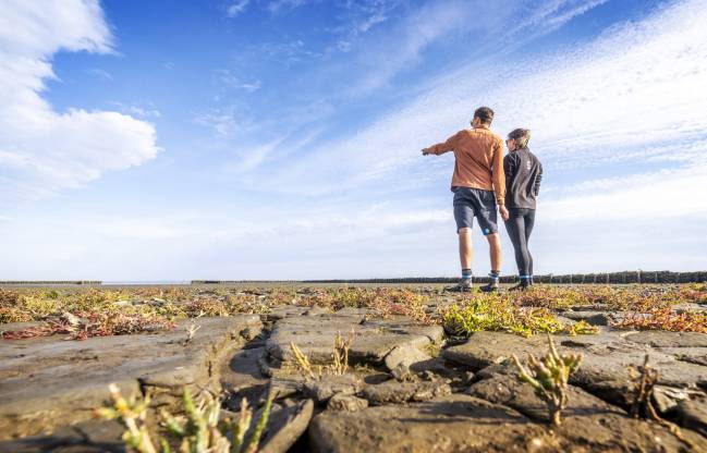 Un hombre y una mujer, de pie sobre el barro agrietado de una marisma con pequeñas plantas rojizas, miran hacia el horizonte bajo un cielo azul con nubes; él señala a lo lejos.