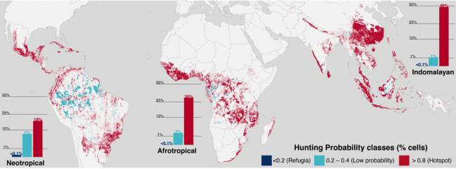 Mapa de la probabilidad de que haya caza en las áreas tropicales del planeta