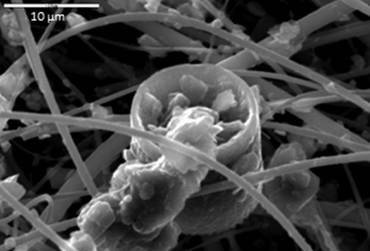 bacterias halladas en el polvo de una tormenta sahariana