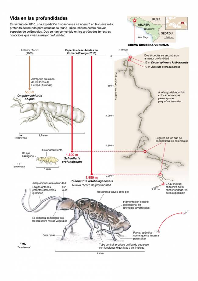 Infográfico: Universidad de Navarra