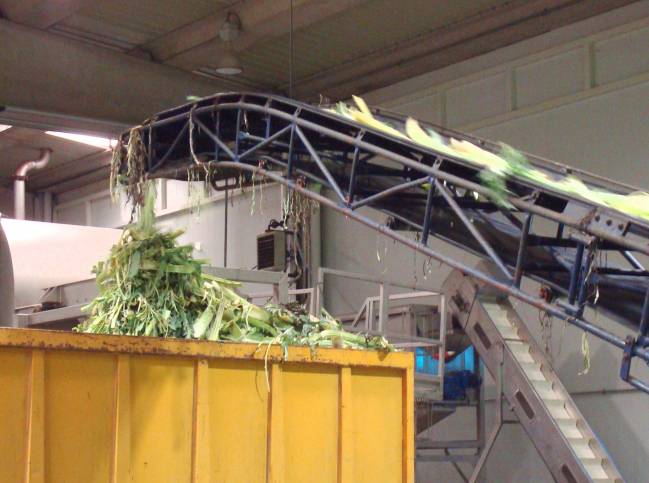 Generación de subproductos vegetales