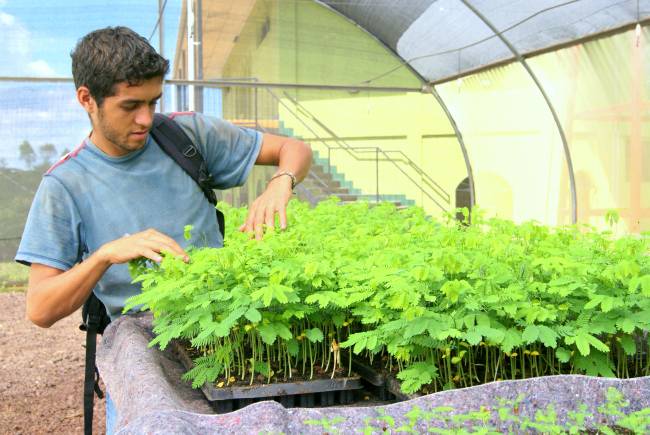 Tecnico trabajando en las instalaciones de El Limón