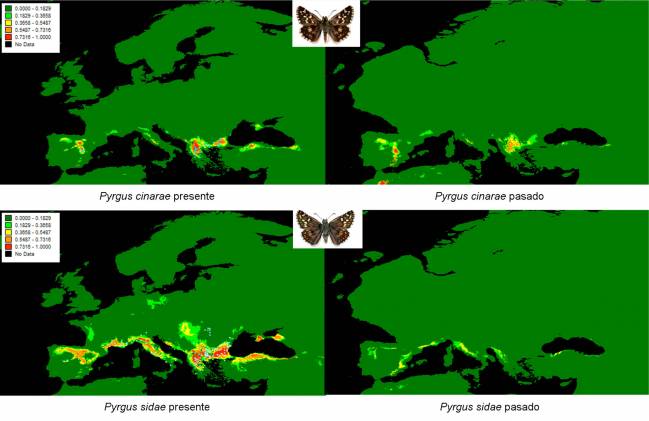 Especies similares pueden tener historias evolutivas diferentes