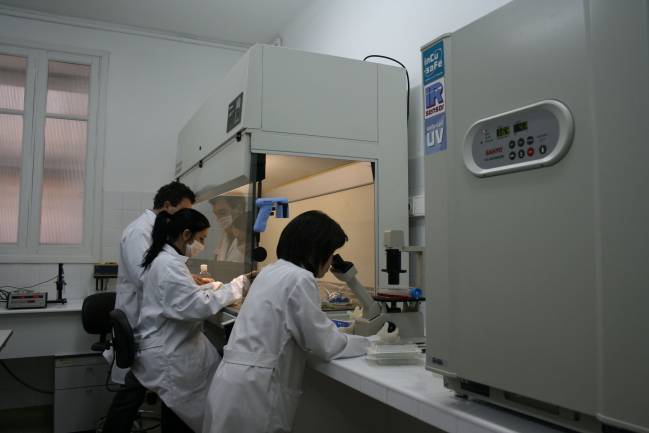 laboratorio