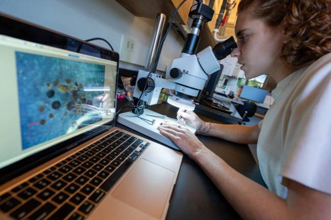 Halley Mastro observa al microscopio material vegetal antiguo procedente de Groenlandia