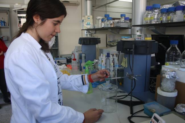 El Instituto de Recursos Naturales y Agrobiología de Salamanca (IRNASA) participa en un descubrimiento internacional publicado en la prestigiosa revista PNAS que aporta una nueva visión de la biología evolutiva y tiene grandes implicaciones económicas