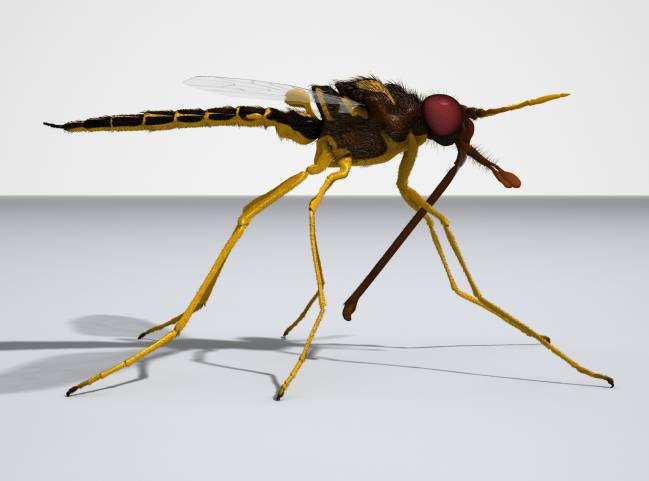 Reconstrucción de una de las especies descubierta por un equipo científico  en piezas de ámbar del yacimiento de El Soplao (Cantabria). Autor: J. A. Peñas 