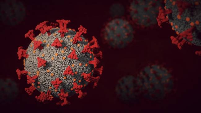 coronavirus SARS-CoV-2