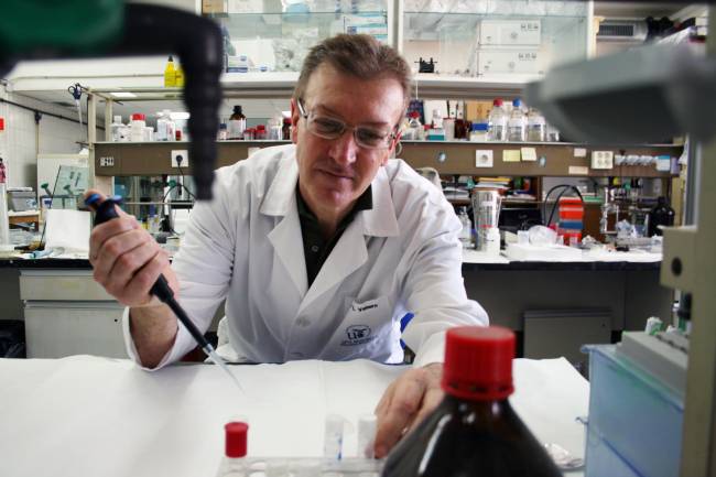 El investigador de la Universidad de Sevilla, José Luis Venero