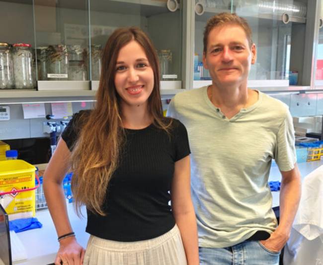 cáncer endometrio