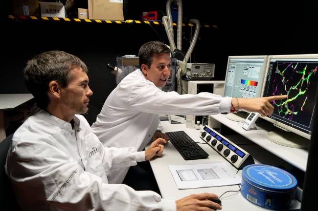 investigadores en laboratorio