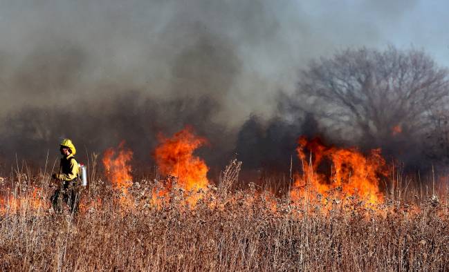 fuego incendio forestal