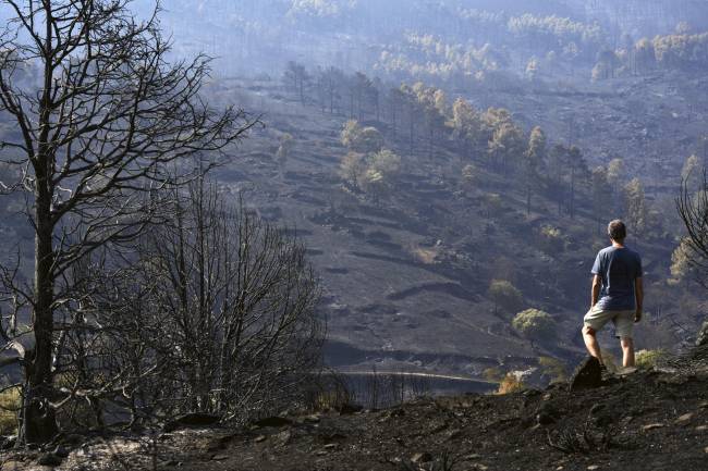 Incendio de Burgohondo (Ávila) 