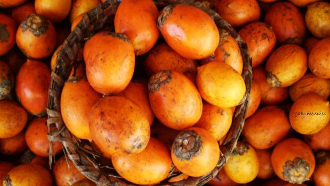 Los resultados obtenidos también tienen potencial aplicación en el desarrollo de suplementos alimenticios 