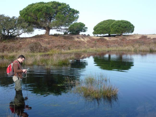 El investigador de la Universidad de Sevilla César Borja en Doñana
