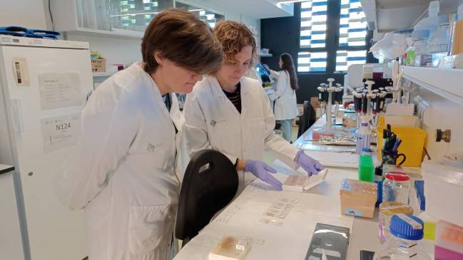 investigadores en el laboratorio