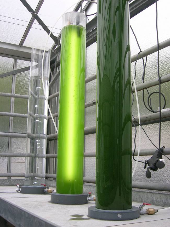 Proyecto Energreen