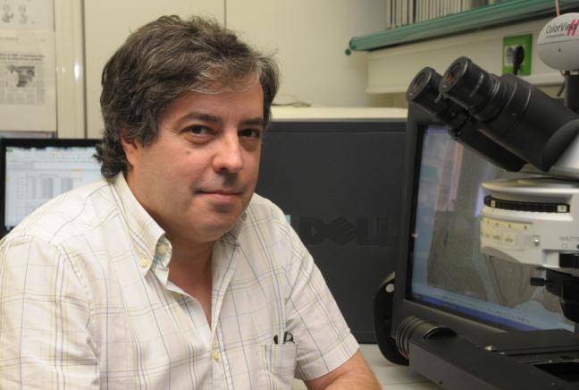 Jordi Alberch,  acaba de ser nombrado presidente electo de la SENC