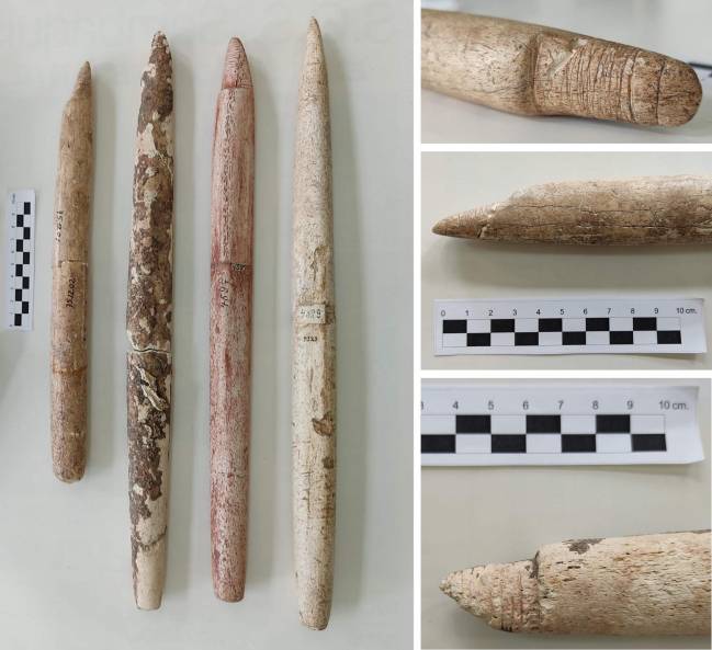 Astiles de arpón, ballenas