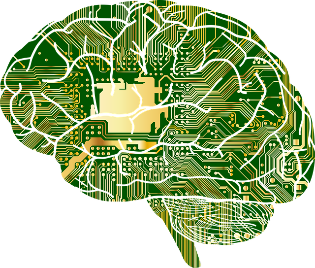 ilustración de cerebro con conexiones