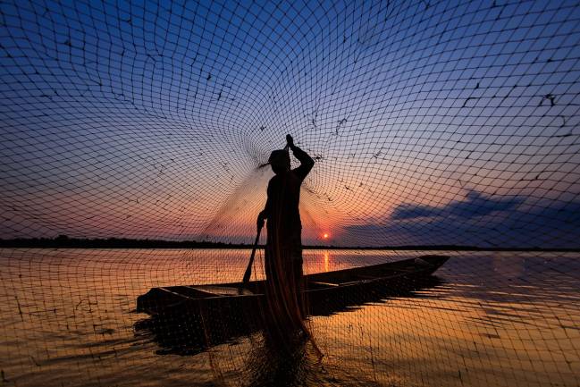 pesca