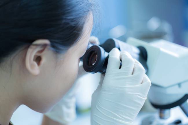 La imagen que la ciudadanía tiene sobre la ciencia ha mejorado en los últimos dos años. / Fotolia