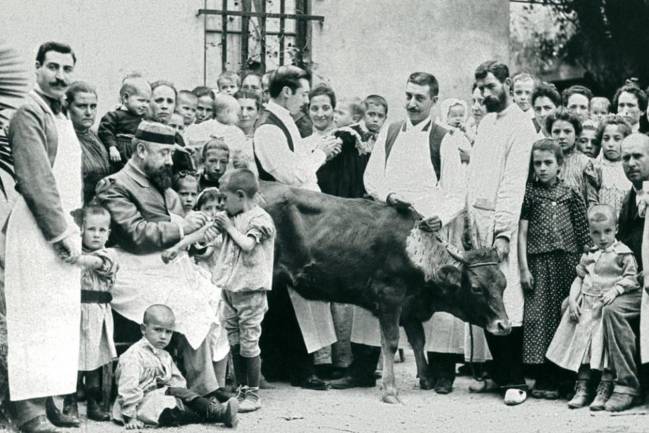 Vacunación en España