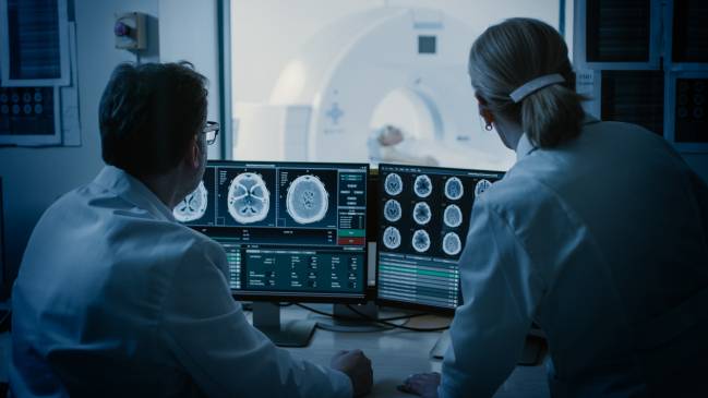 El estudio compara mediante resonancia magnética los cambios en la materia gris asociados a la pubertad, el embarazo y la menopausia