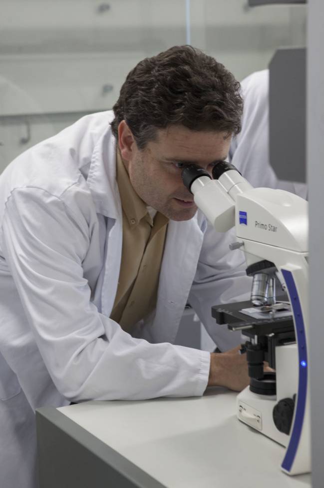Conrado Martínez, investigador de la UJI.