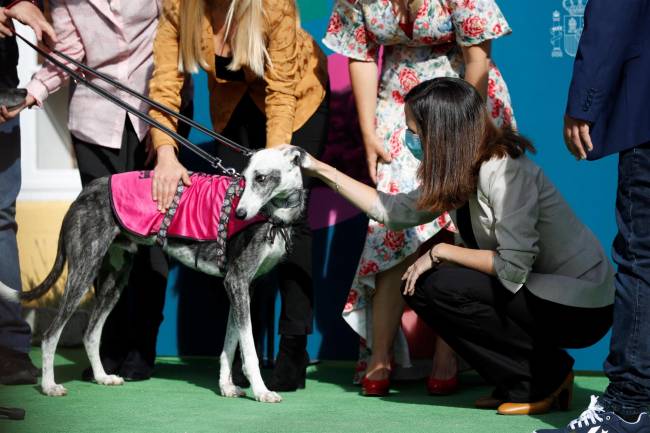 Adopción de perros