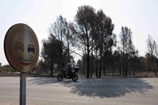 cambio climático, incendios