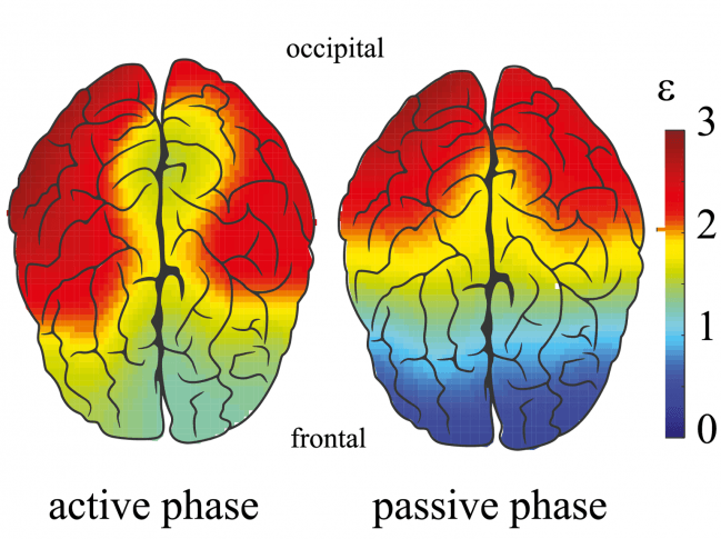 Relación entre las energías de los componentes espectrales de alta y baja frecuencia, calculados para cada canal EEG durante las fases activas y pasivas. Fuente: A. Pisarchik et al.