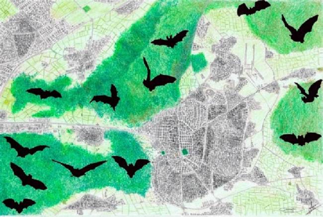 Dibujo de la distribución de algunas zonas protegidas alrededor de Madrid.