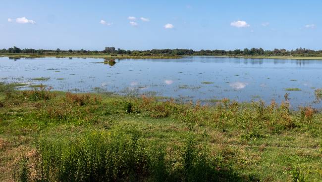 Marismas en el municipio de El Rocío en Huelva