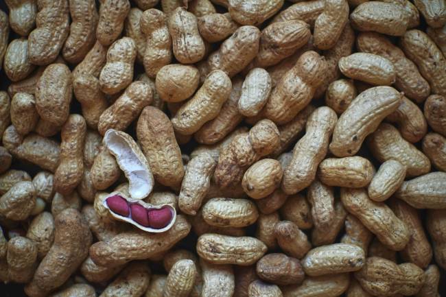 alergia, cacahuetes, microbiota, saliva, bacteria