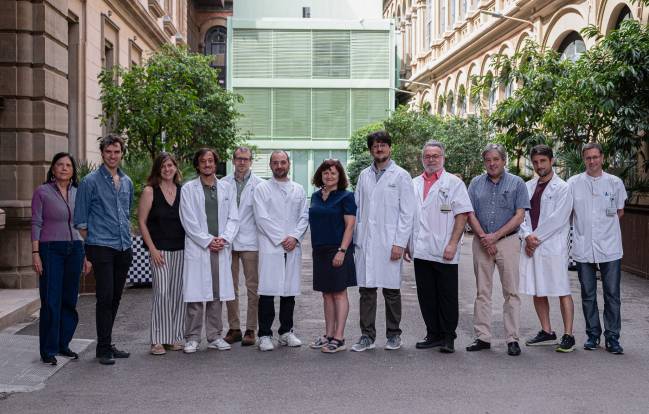 grupo investigación IDIBAPS