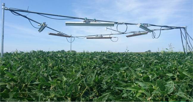 Sistema de calefacción infrarroja empleado para simular condiciones de más temperatura en plantas