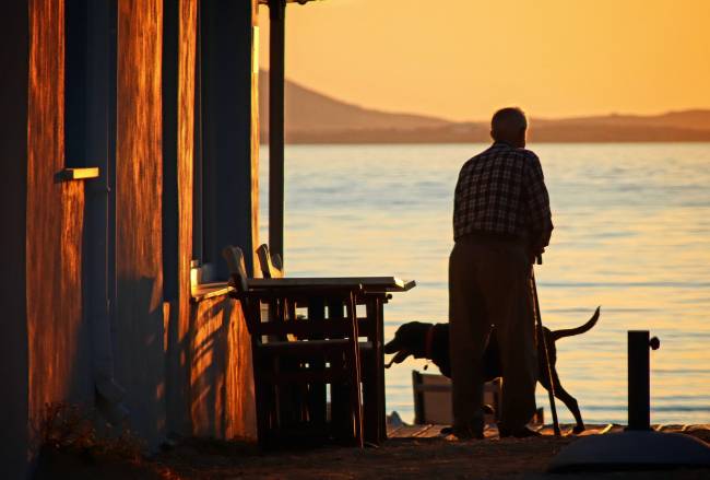 Un hombre anciano con un perro mirando el atardecer en la costa