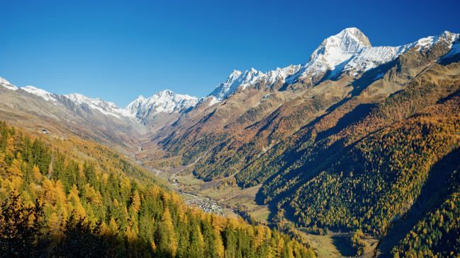 Vista del valle del Lötschental, en Suiza, uno de los más de cien sitios en el mundo donde se tomaron muestras usadas en este estudio 