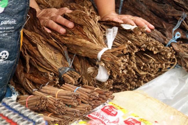 Hojas de tabaco