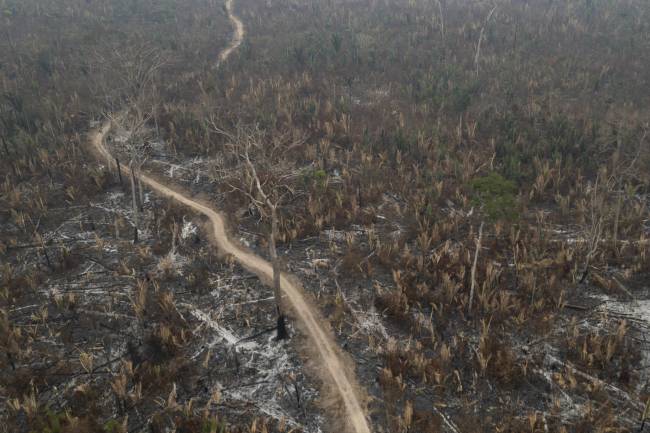 incendios en Brasil