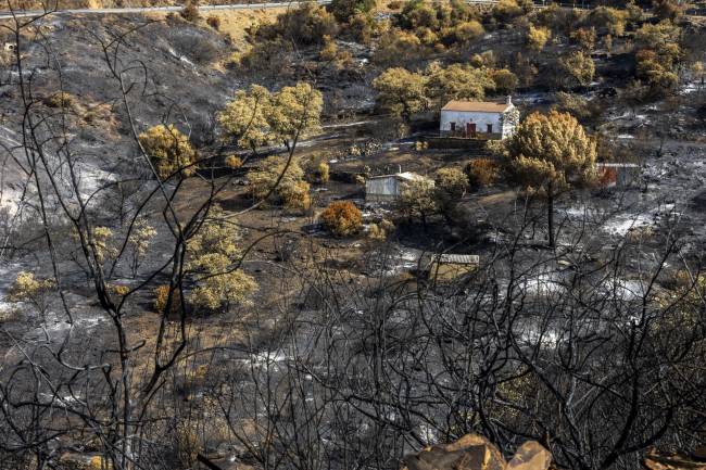Vista de la tierra quemada de la localidad de Berrocal, Huelva, tras los incendios de Niebla