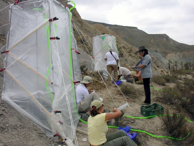 Ensayos de campo / Fundación Descubre