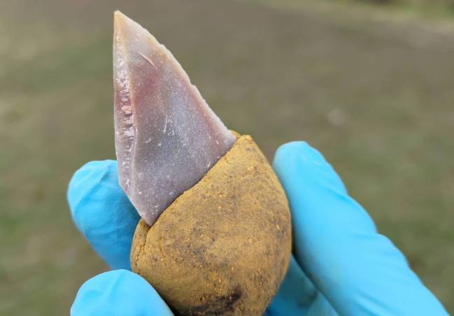 Herramienta de piedra con un mango hecho de betún líquido 