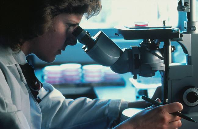 Investigadora en su laboratorio. / Unsplash