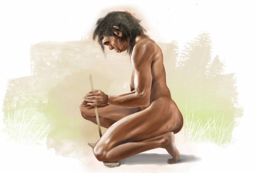 mujer Homo erectus