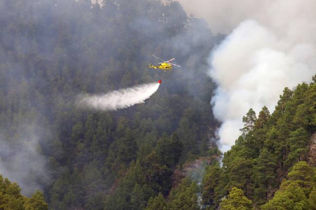 Un helicóptero vierte agua sobre el bosque incendiado en La Palma