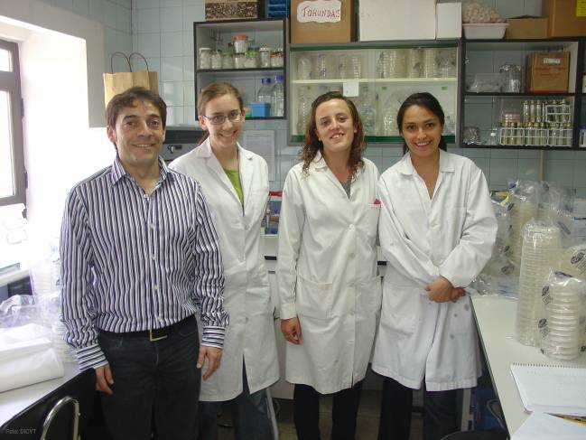El Irnasa (CSIC) analiza los tipos de bacterias que establecen una simbiosis positiva para el crecimiento de la planta