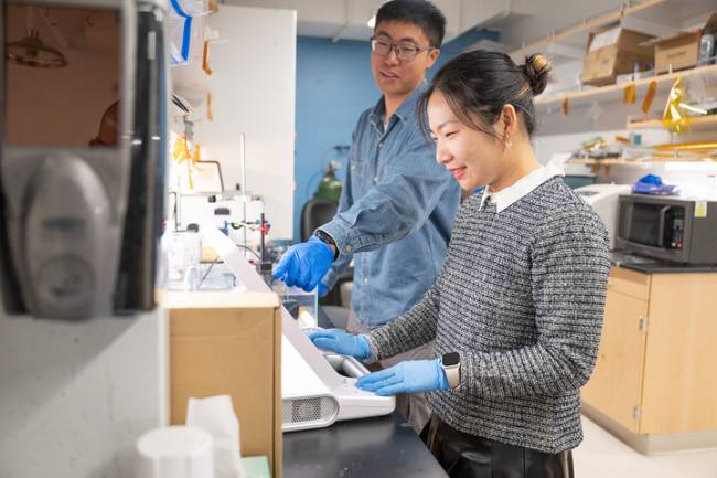 Hong Han y Xiaotian Ma, estudiantes de postgrado de Caltech y autores principales del artículo sobre microrobots